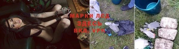 дурь Алзамай