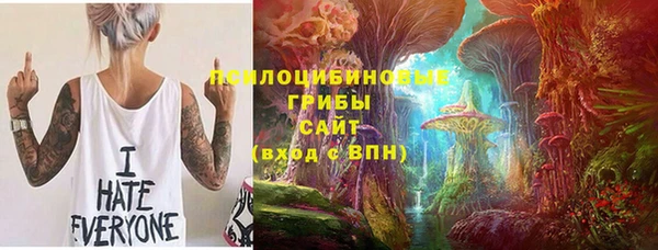 твердый Алексеевка