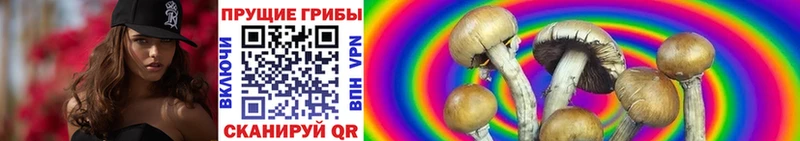 Галлюциногенные грибы прущие грибы  Бежецк 