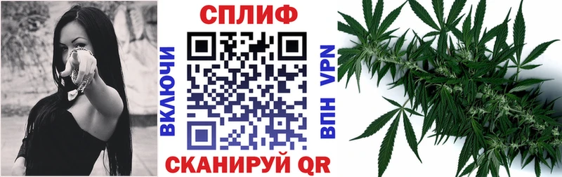 Каннабис MAZAR Бежецк